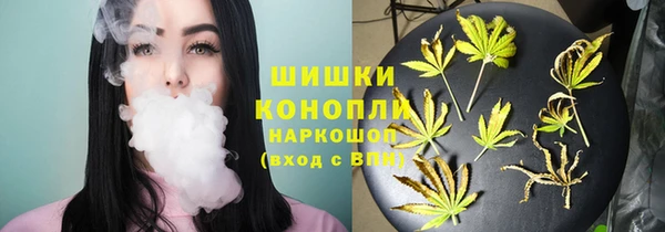 ГАЛЛЮЦИНОГЕННЫЕ ГРИБЫ Бронницы